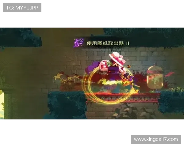 巴罗直播号全新上线,精彩内容抢先看!